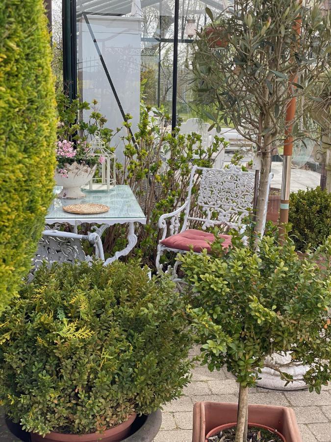 Apartmán Dobbelt Vaerelse Carlsminde Stenstrup Exteriér fotografie